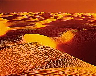 IGN：Xbox Ally X可能会让整个PC掌机行业都受益