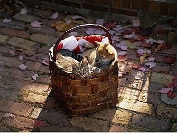 《GTA6》首批细节泄露：双主角 其中一位是女性