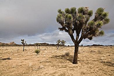 ARPG《神之天平》计划推出Switch版 发售日期待定